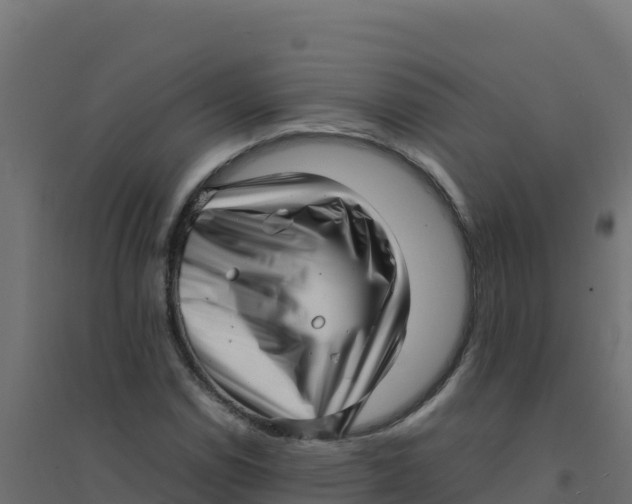 X0000094341114200711241846