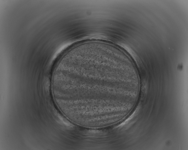 X0000094341115200711241846