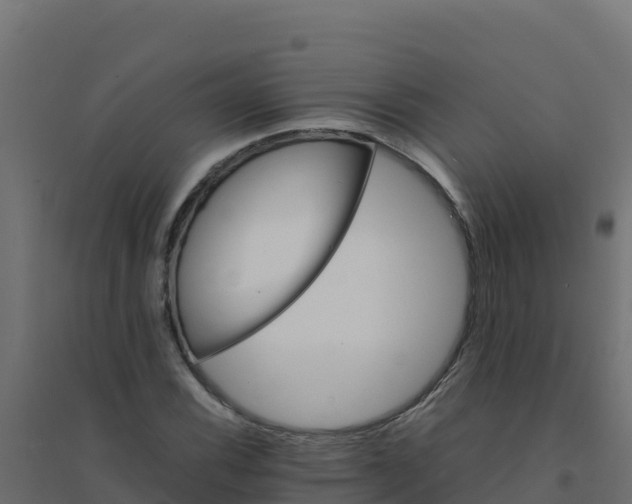 X0000094341116200711241846