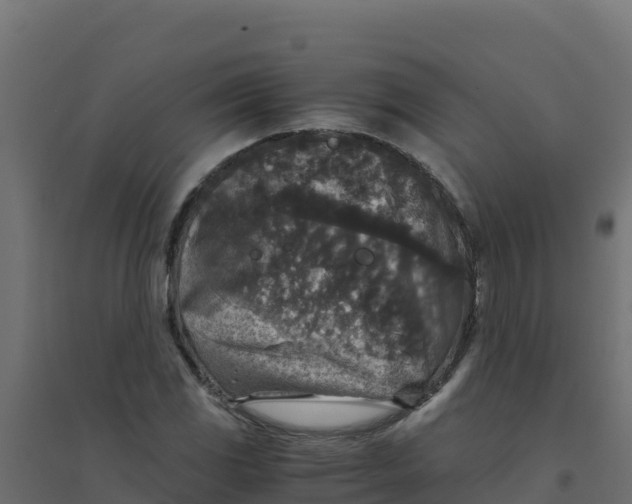 X0000094341117200711241846