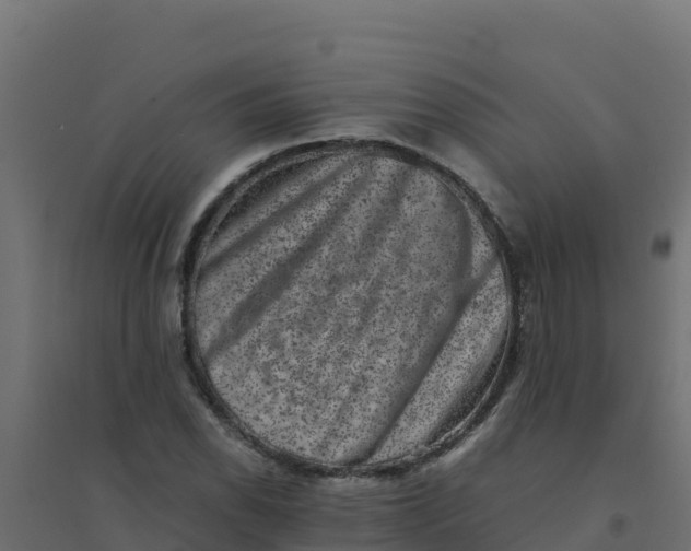 X0000094341118200711241846