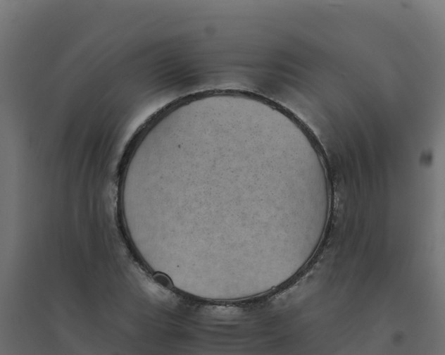 X0000094341119200711241846