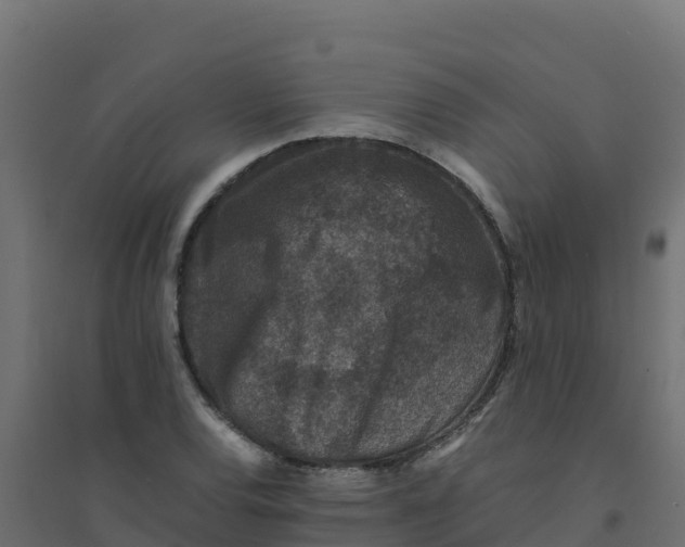 X0000094341120200711241846