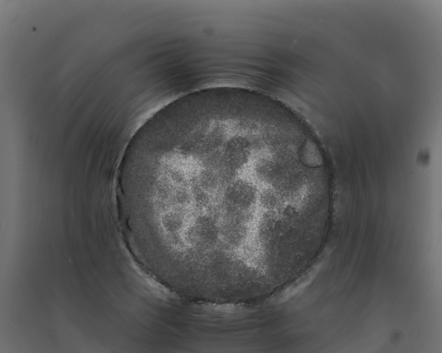 X0000094341121200711241846