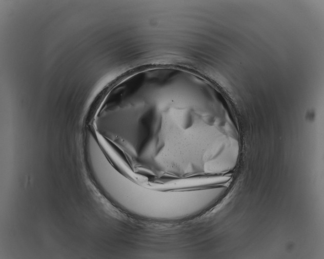 X0000094341122200711241846