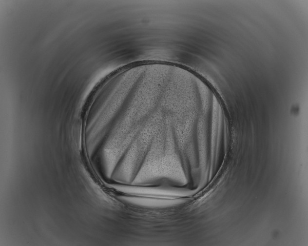 X0000094341123200711241846