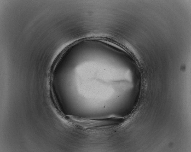 X0000094341124200711241846