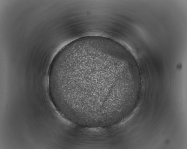 X0000094341125200711241846