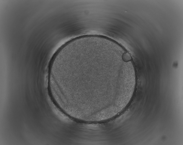 X0000094341126200711241846