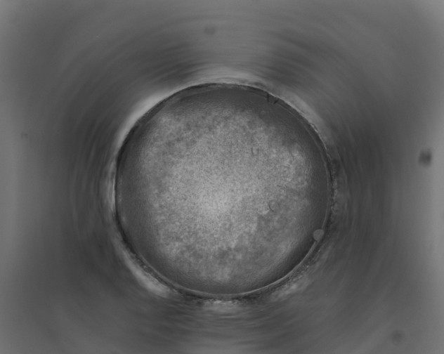 X0000094341128200711241846