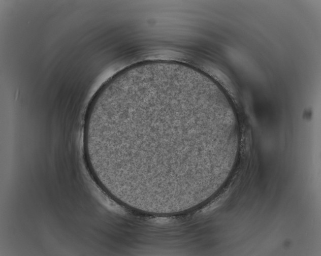 X0000094341130200711241846