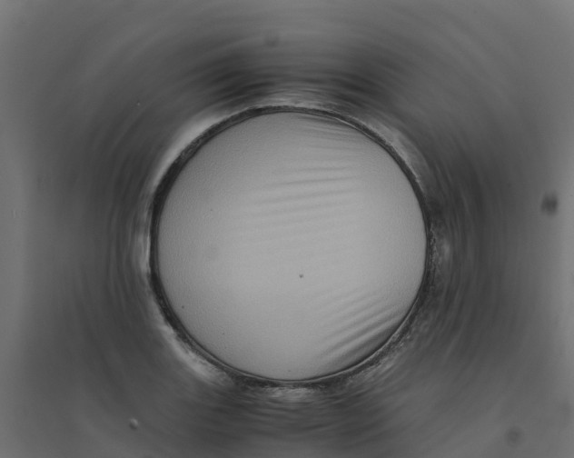 X0000094341131200711241846