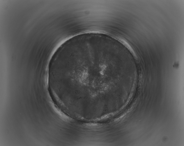 X0000094341132200711241846