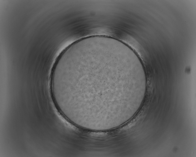 X0000094341135200711241846