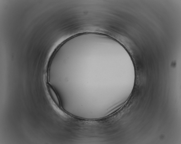 X0000094341136200711241846