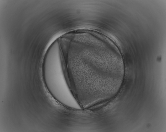 X0000094341138200711241846