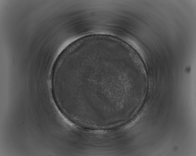 X0000094341141200711241846