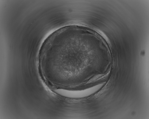 X0000094341144200711241846