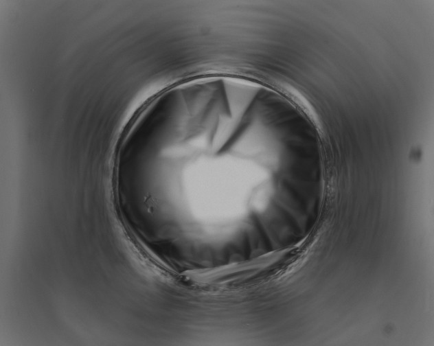 X0000094341146200711241846