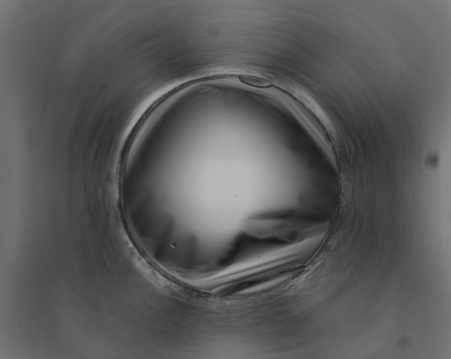 X0000094341148200711241846