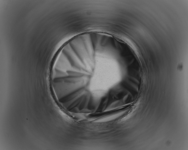 X0000094341149200711241846