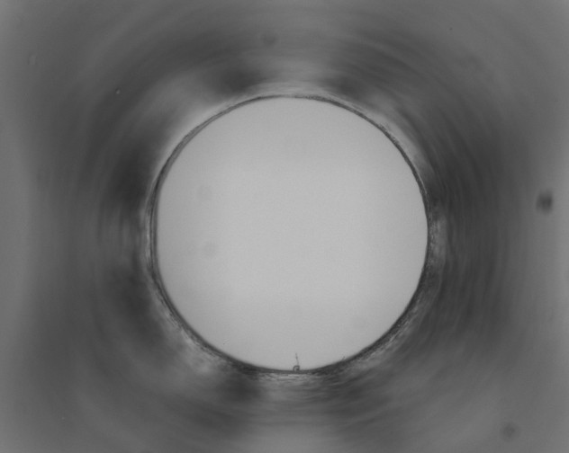 X0000094341150200711241846