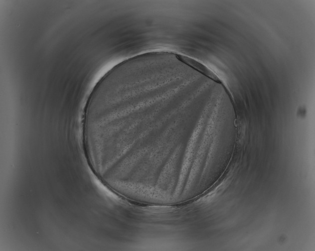 X0000094341151200711241846