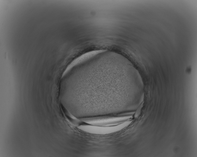 X0000094341153200711241845