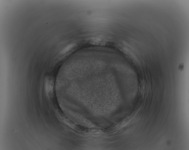 X0000094341154200711241845