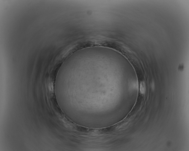 X0000094341155200711241845