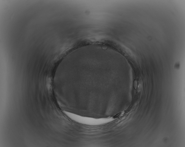 X0000094341156200711241845