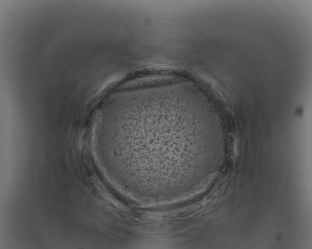 X0000094341157200711241845