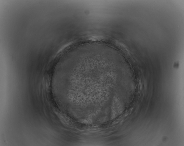 X0000094341158200711241845