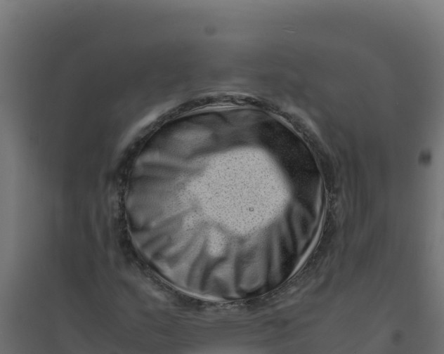 X0000094341159200711241845