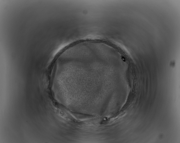 X0000094341160200711241845