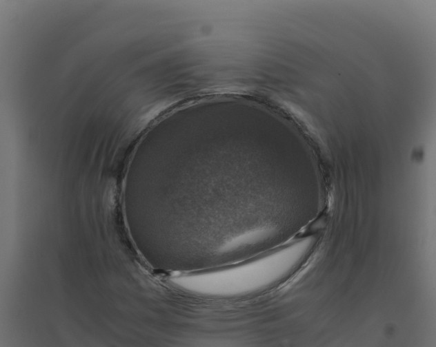 X0000094341161200711241845