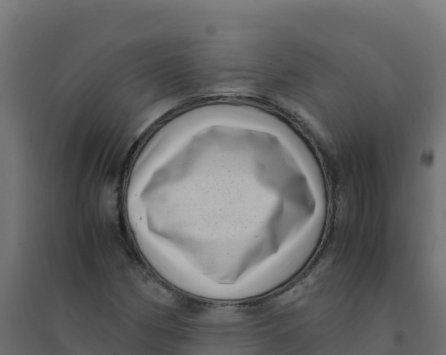 X0000094341162200711241845