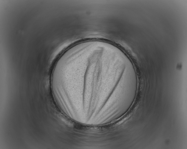 X0000094341167200711241845