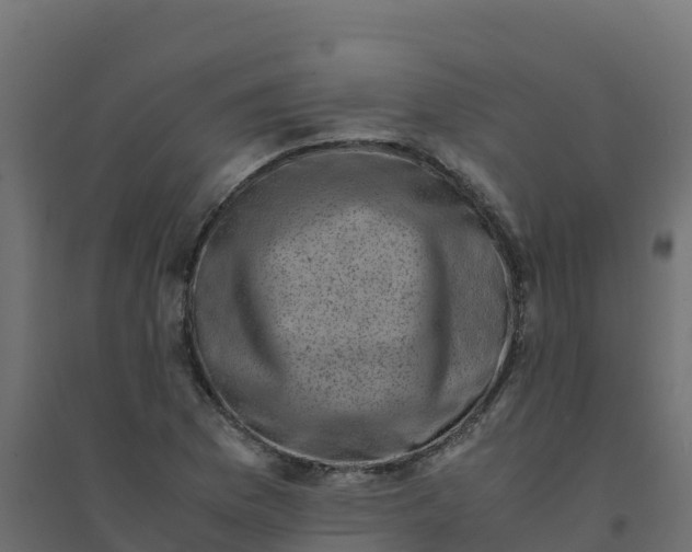 X0000094341169200711241845