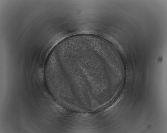 X0000094341170200711241845