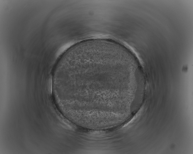 X0000094341171200711241845