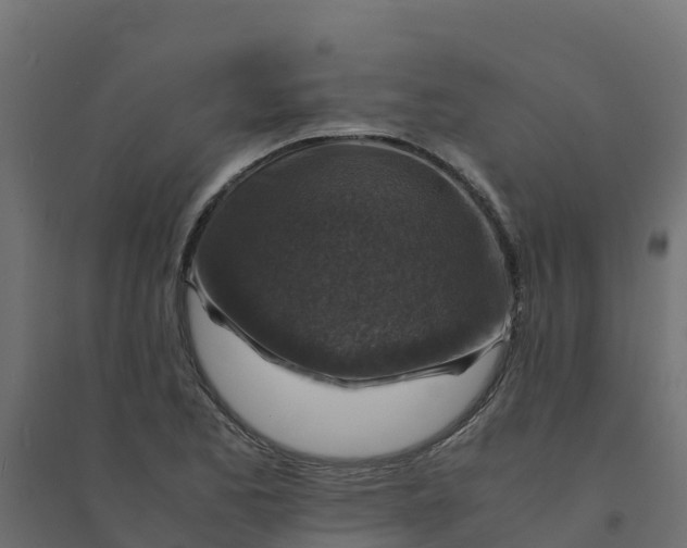 X0000094341173200711241845