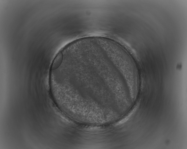 X0000094341174200711241845