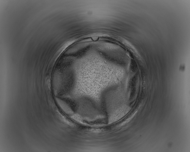 X0000094341177200711241845