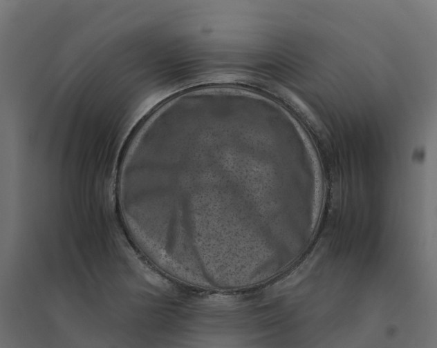 X0000094341178200711241845