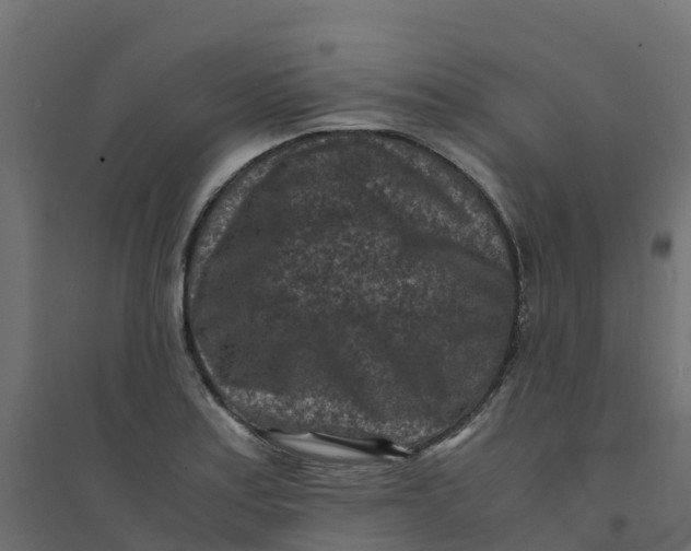 X0000094341179200711241845