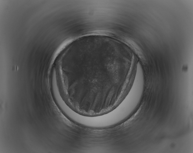 X0000094341180200711241845