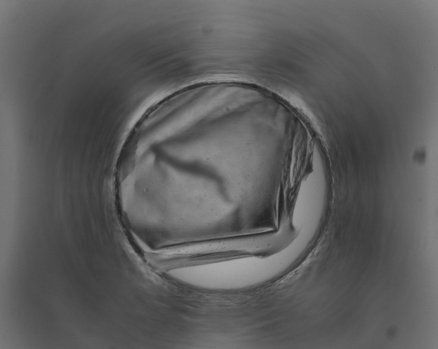 X0000094341181200711241845