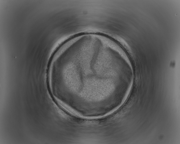 X0000094341183200711241845