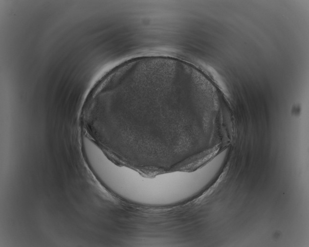 X0000094341184200711241845